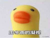 浙江港运石化有限公司