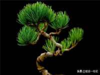 浙江港运石化有限公司