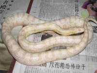 浙江港运石化有限公司