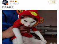 浙江港运石化有限公司