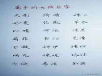 浙江港运石化有限公司